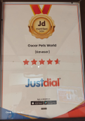 Justdial Certification